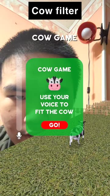 Snapchatter
