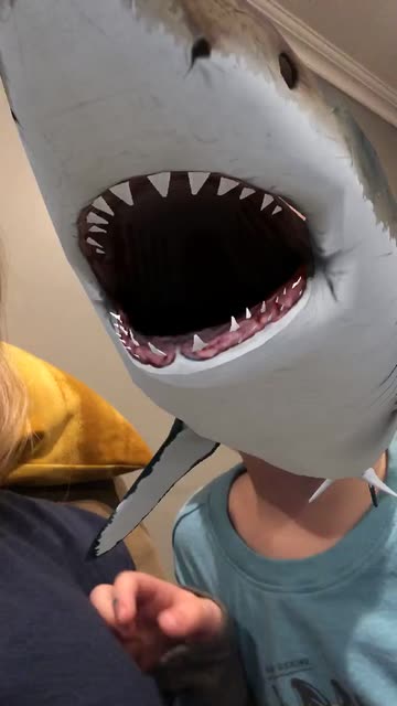 Preview for a Spotlight video that uses the Shark Lens
