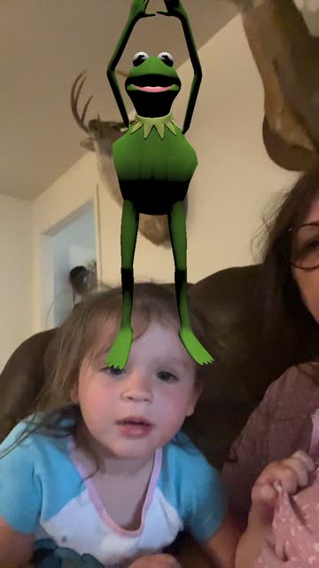 Preview for a Spotlight video that uses the Kermit burpee Lens