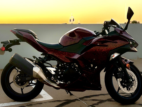 stingray05