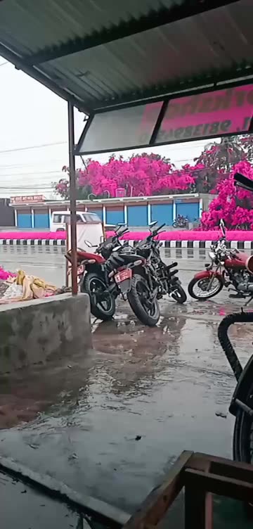 Preview for a Spotlight video that uses the pink leaves Lens