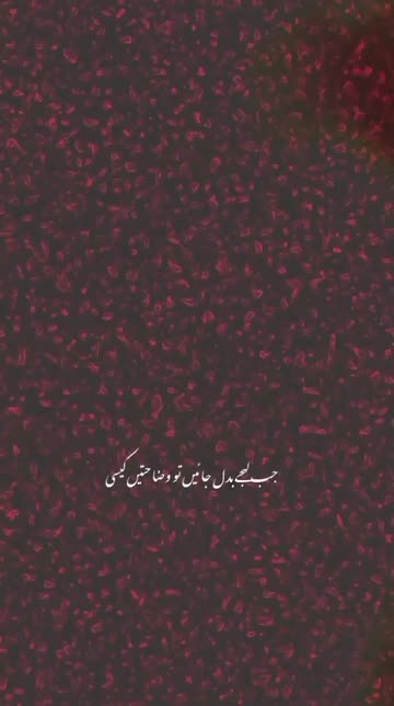 Preview for a Spotlight video that uses the Urdu Text 3 Lens