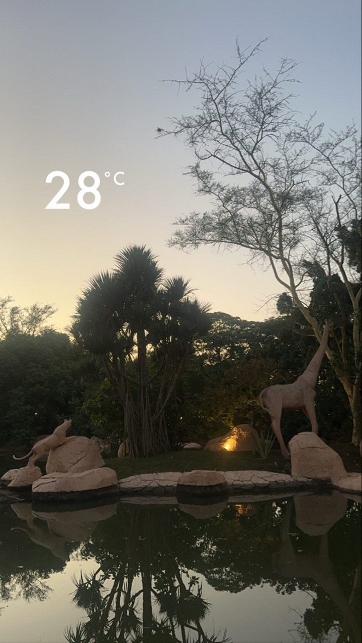محتوى سناب شات لـ عزان عرعر🇴🇲 ظفار2026🌴