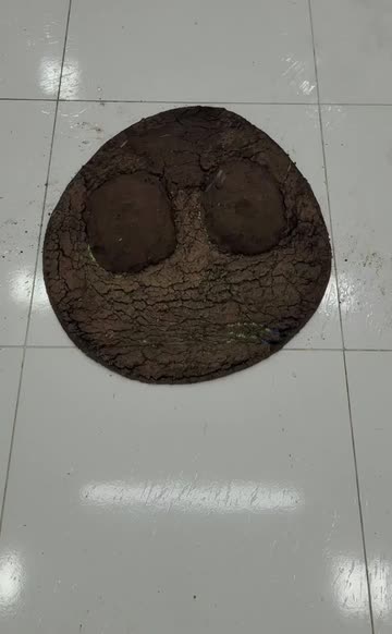 Titan Rug Cleaning