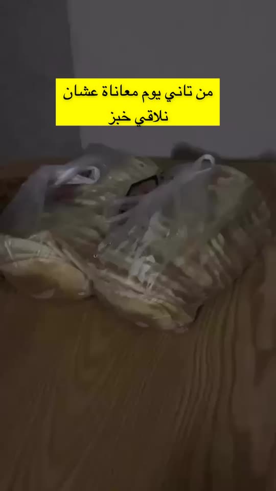 deema_jayab