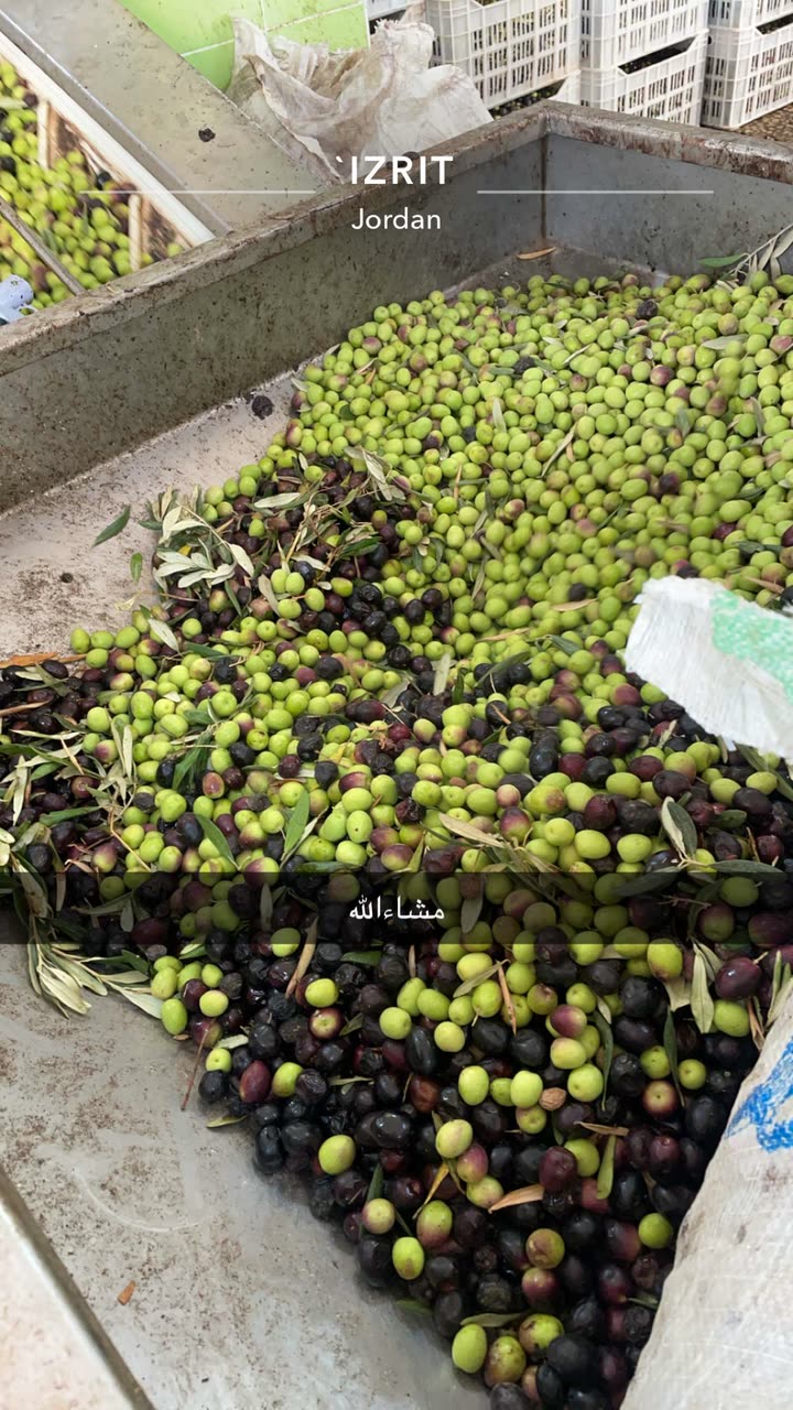 محتوى سناب شات لـ ﮼رشاش 🐆