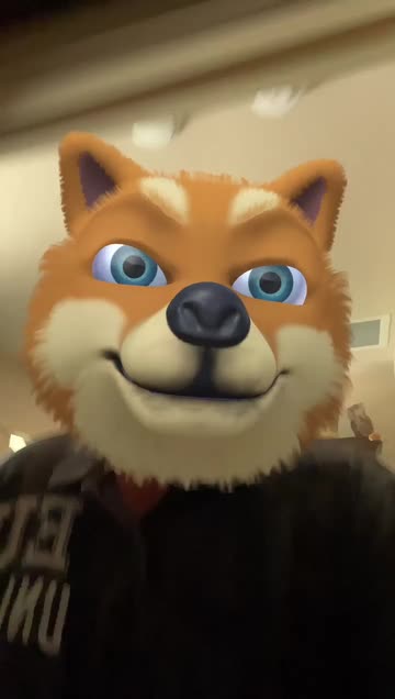 Preview for a Spotlight video that uses the Shiba Simulator Lens