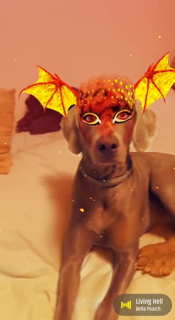 Preview for a Spotlight video that uses the Fire Dragon Lens