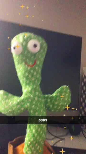 Preview for a Spotlight video that uses the SPRINKLES Lens