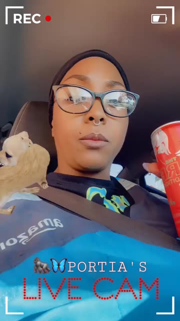 Preview for a Spotlight video that uses the Chihuahua Friend Lens