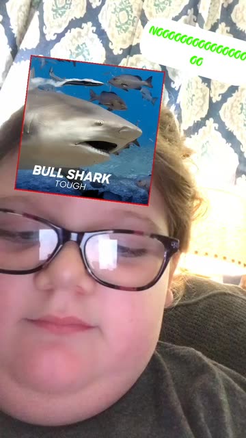 Preview for a Spotlight video that uses the Shark Quiz Lens