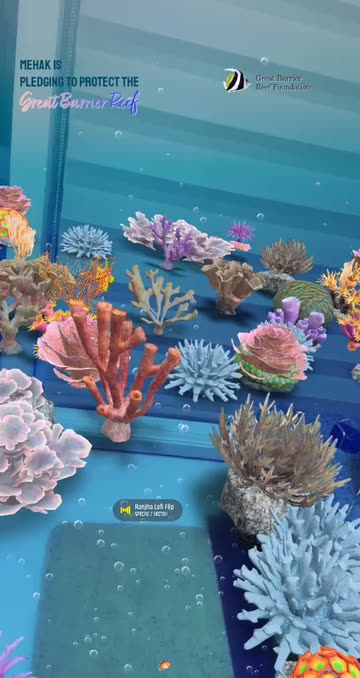 Preview for a Spotlight video that uses the Great Barrier Reef Conservation Lens