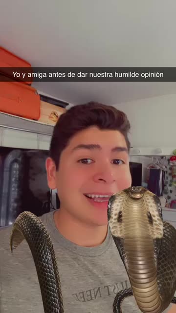 Preview for a Spotlight video that uses the Dancing Cobra Lens