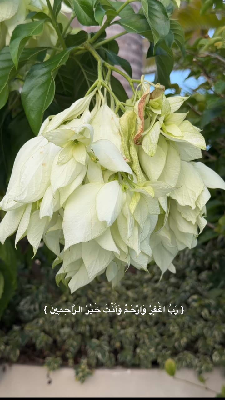 محتوى سناب شات لـ عفرا السويدي 🦋