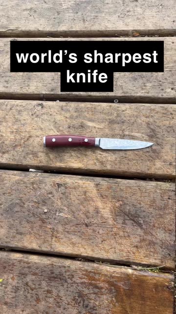 world's sharpest knife  Snapchat-এ Spotlight