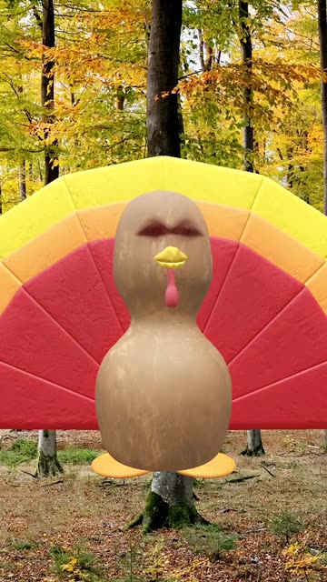 Preview for a Spotlight video that uses the Terrific Turkey Lens