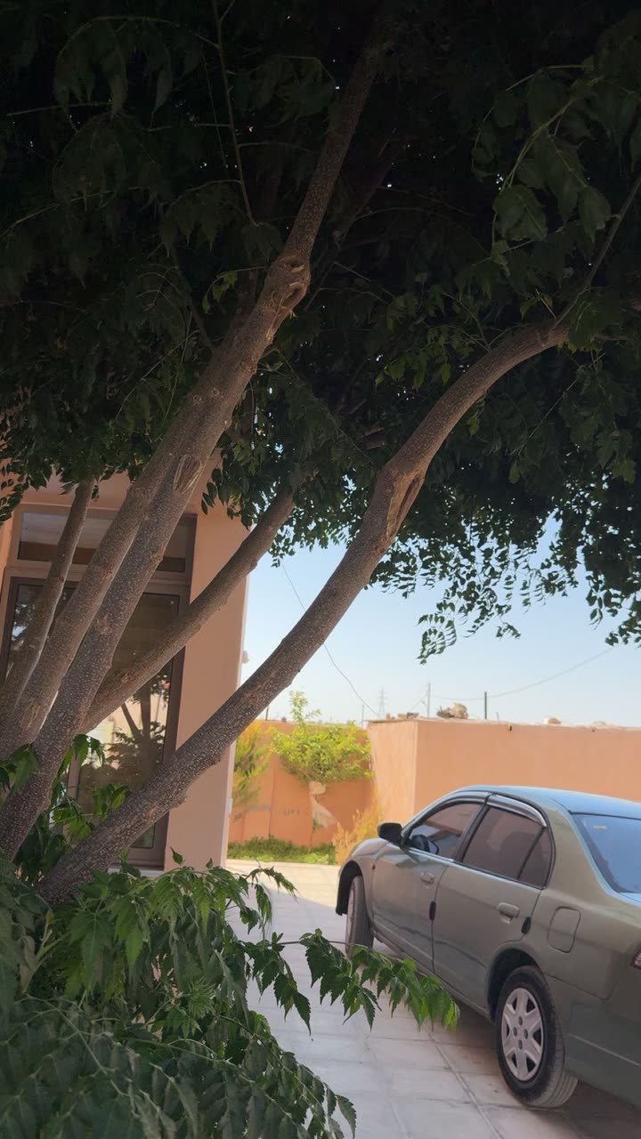 محتوى سناب شات لـ ابــو راشـد🤎🐎