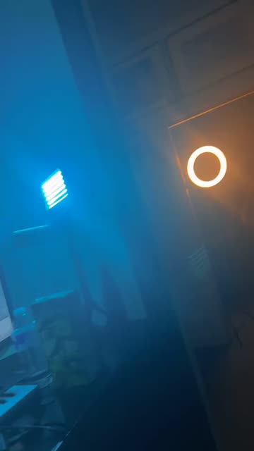 Preview for a Spotlight video that uses the lioness Lens