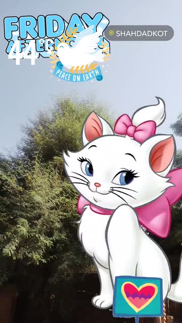 Preview for a Spotlight video that uses the Marie Kitten Cat Lens
