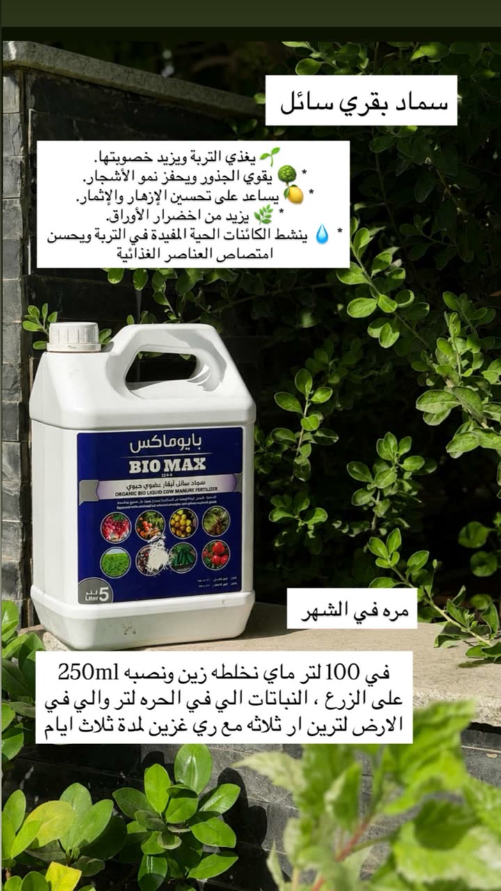 محتوى سناب شات لـ عفرا السويدي 🦋