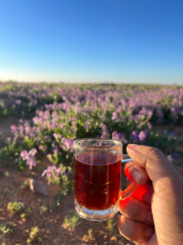 محتوى سناب شات لـ مـحمـد آل غلفيـص