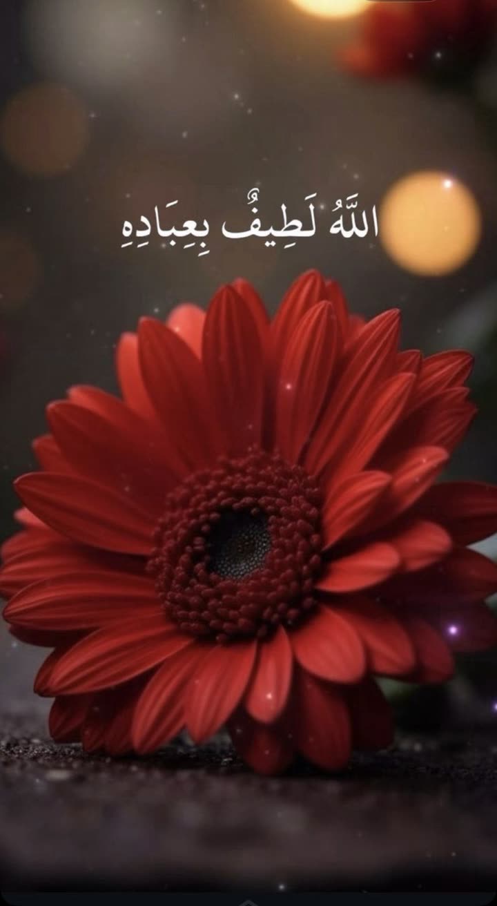 محتوى سناب شات لـ Soso♥️