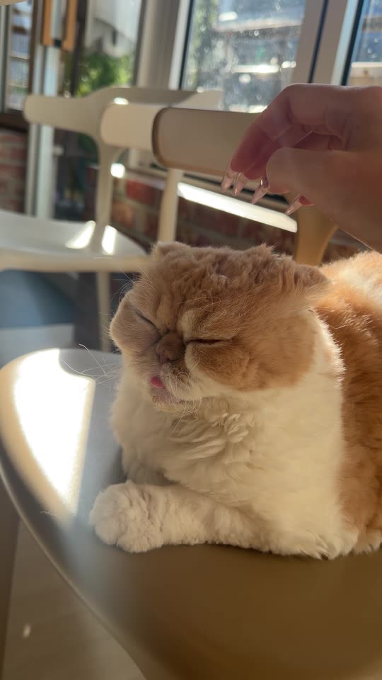 hellocathyz