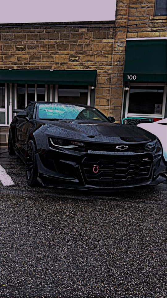 stingray05