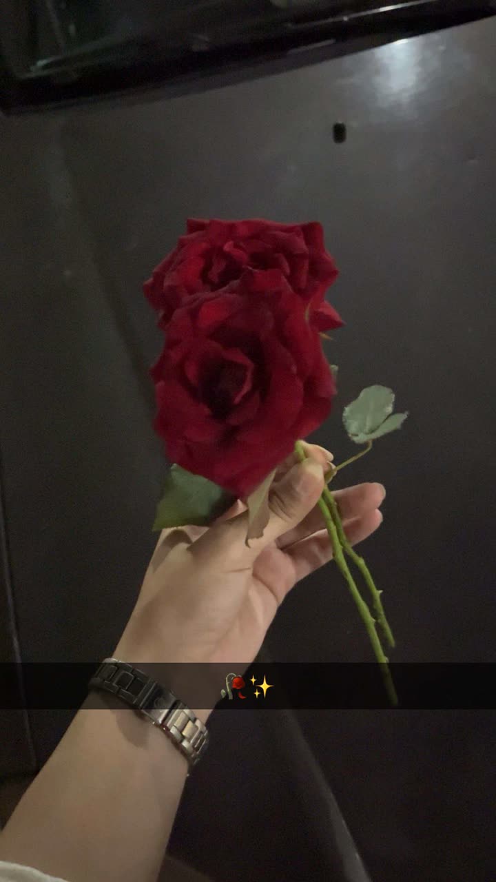 محتوى سناب شات لـ Farah Younis👸🏻.