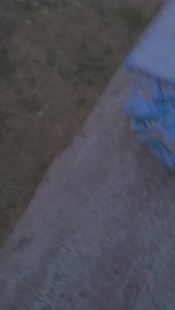 Preview for a Spotlight video that uses the 28 Lens