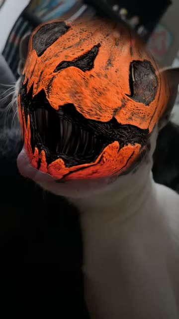 Preview for a Spotlight video that uses the PUMPKIN MASKS Lens