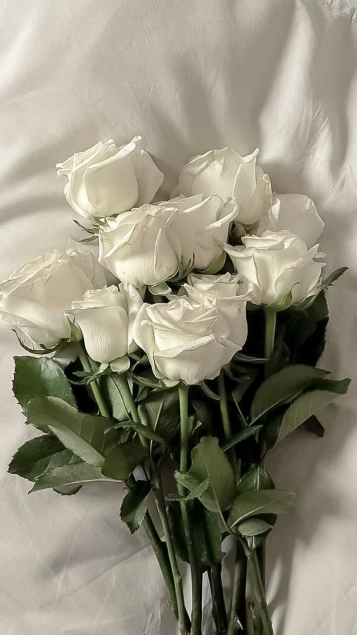 قصة سناب شات للحساب ashwaqsalomair رقم 88