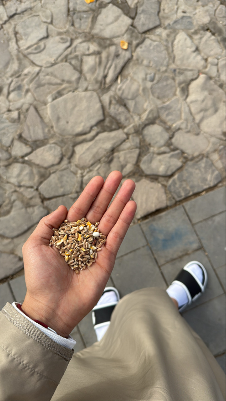 محتوى سناب شات لـ Musab Elmehdwi