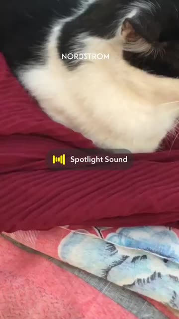 Preview for a Spotlight video that uses the H2 Beauty Lens-Lip Lens