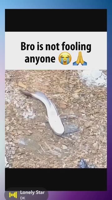 PerorA