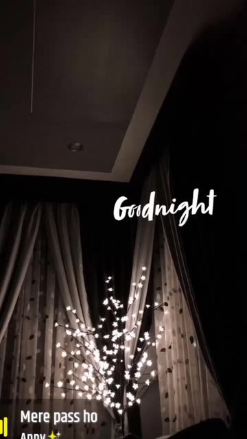 Preview for a Spotlight video that uses the Good night 1 Lens