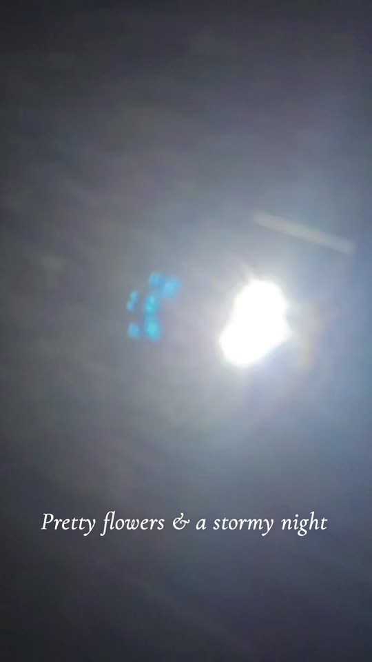 hannah_bet3