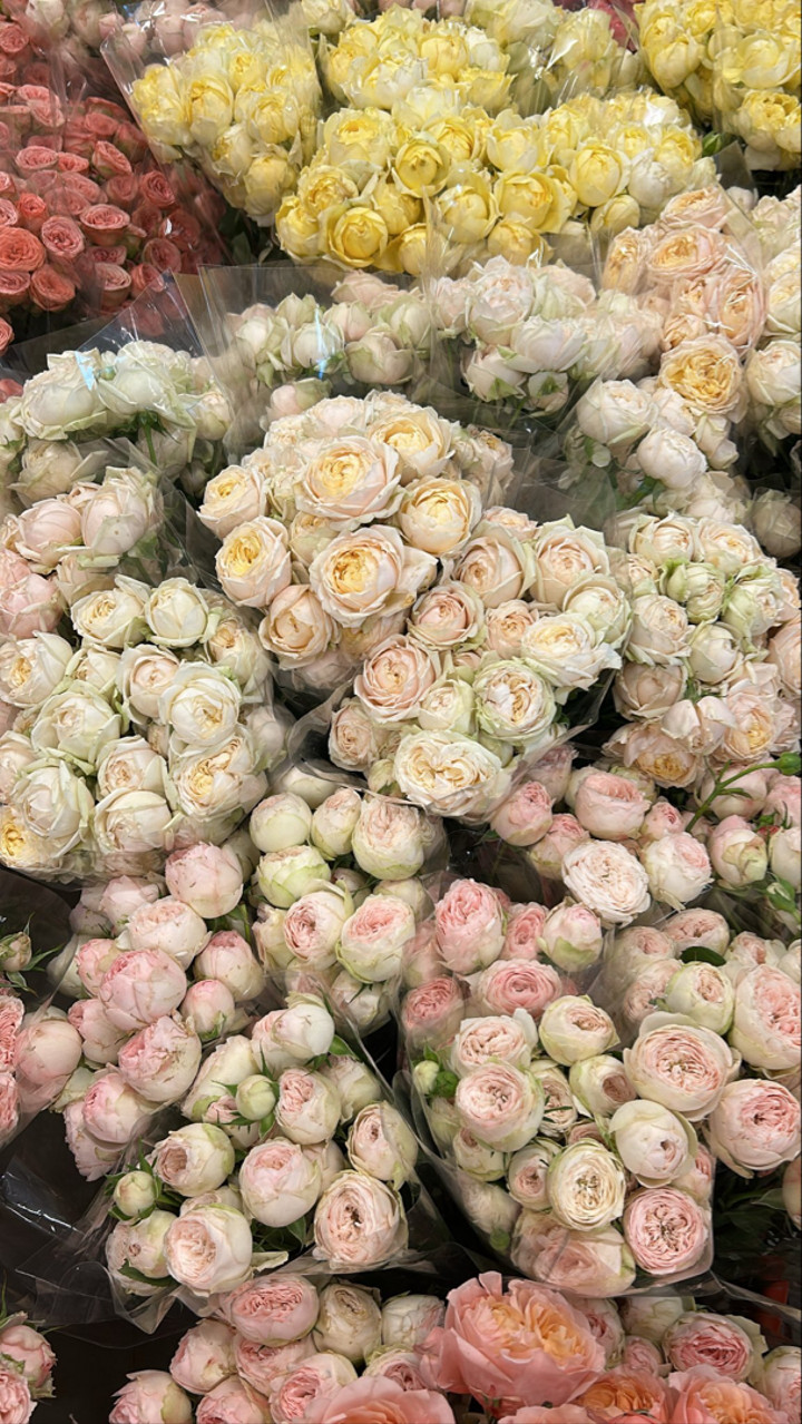 محتوى سناب شات لـ أميرةعبدالعزيز🇸🇦