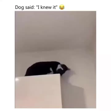 Spotlight content by a Snapchat user