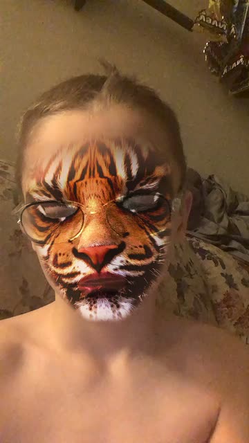 Preview for a Spotlight video that uses the Tiger Lens