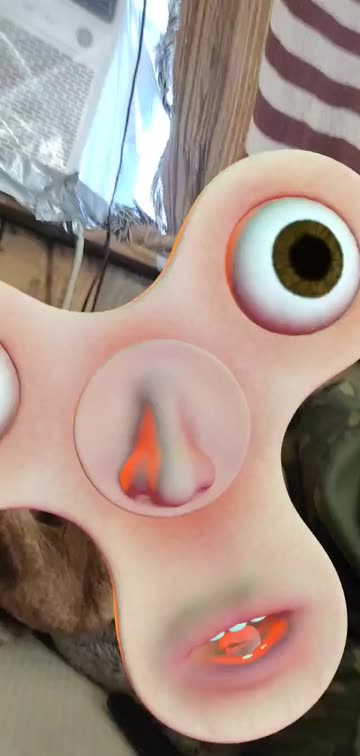 Preview for a Spotlight video that uses the Live Spinner Lens