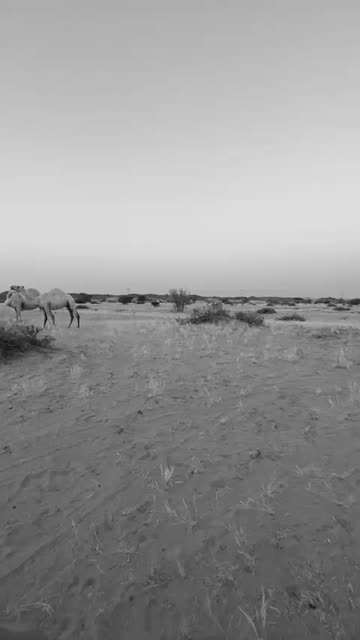 Preview for a Spotlight video that uses the Pnl balaclava Lens