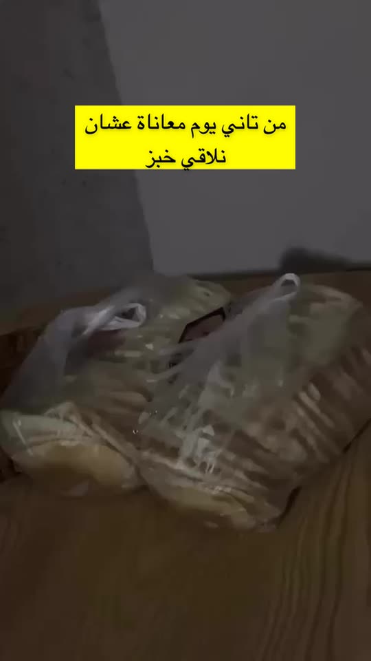 deema_jayab