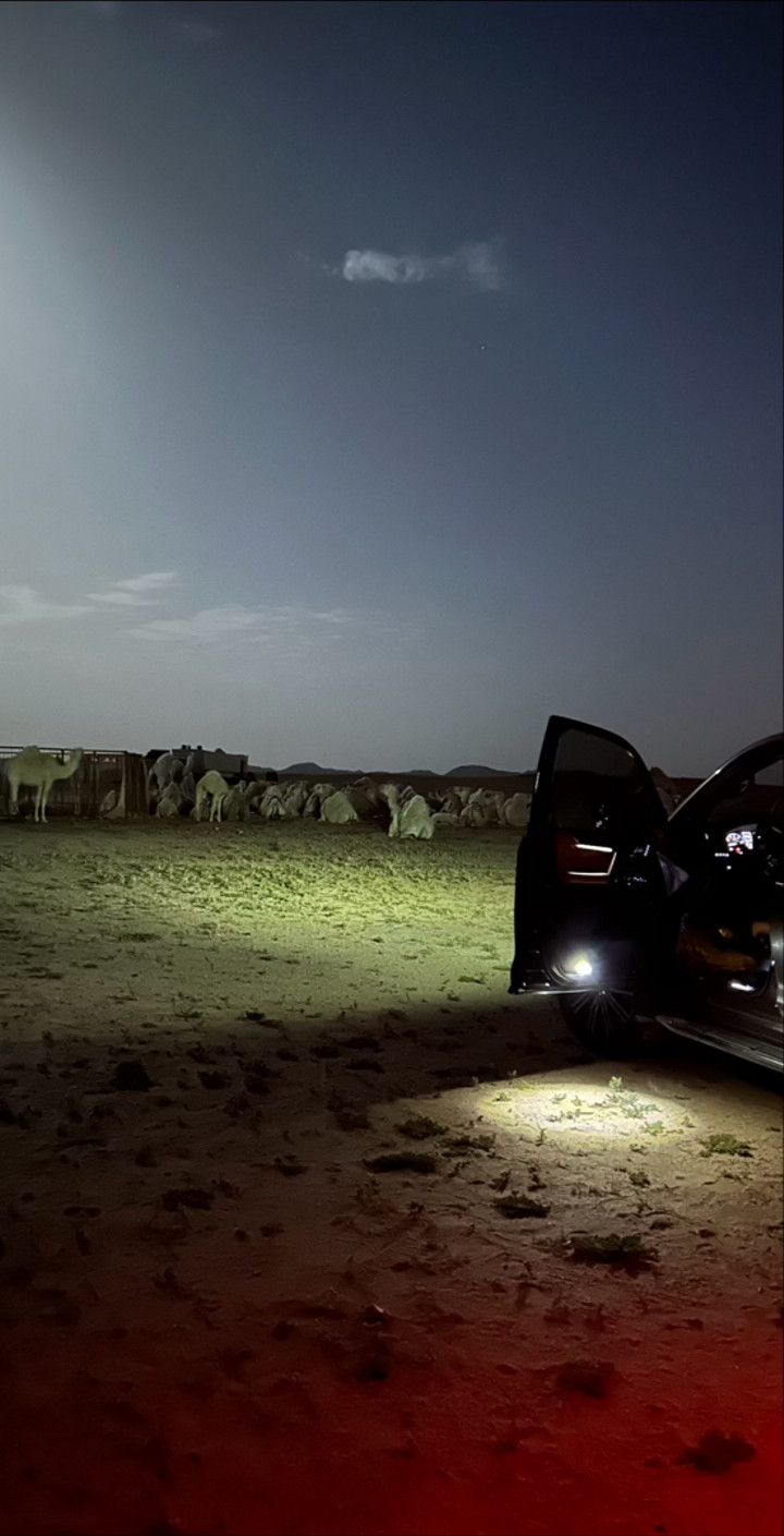 محتوى سناب شات لـ Abdulaziz Al-Moheef