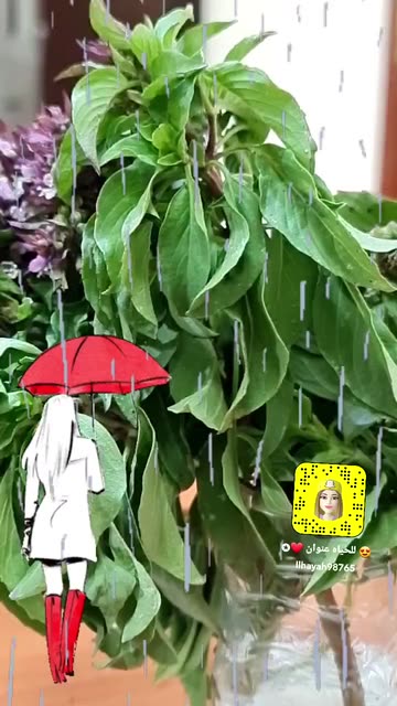 Preview for a Spotlight video that uses the Walk in The Rain Lens