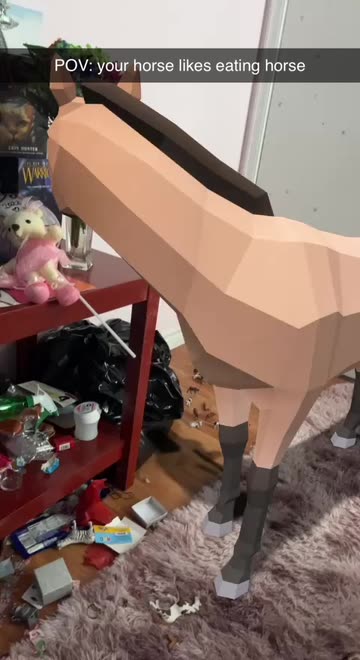 Preview for a Spotlight video that uses the Western Horse Lens