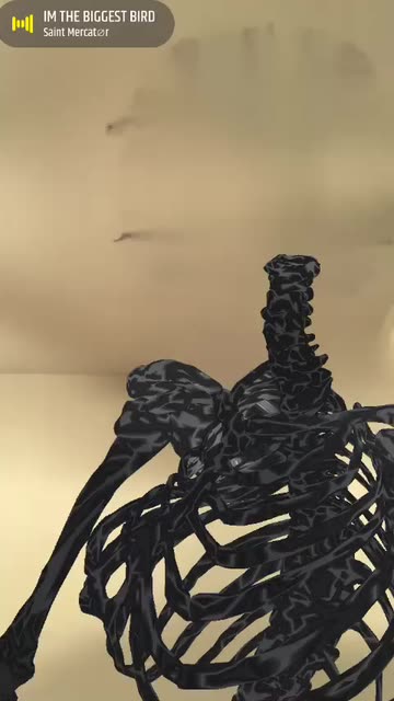 Preview for a Spotlight video that uses the Skeleton Body Lens