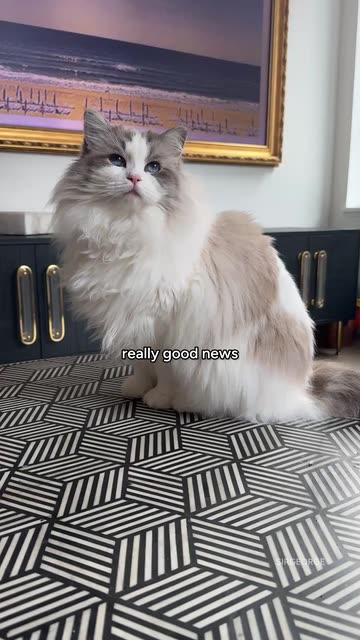 Sir George