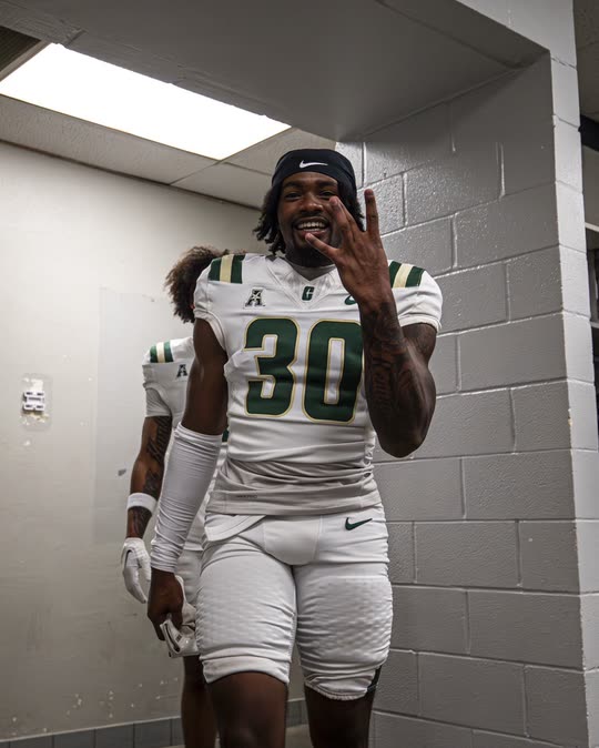 nlmb.brazyy7