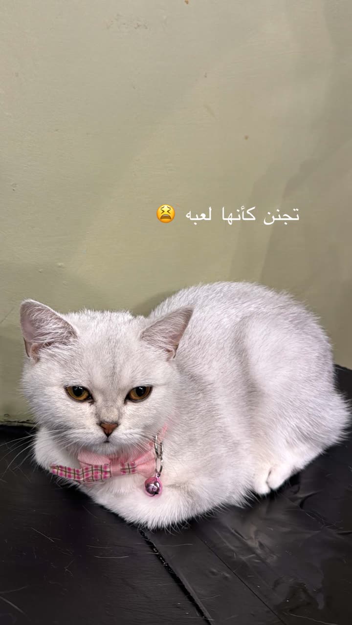 محتوى سناب شات لـ نـهـيـهّ 🦌